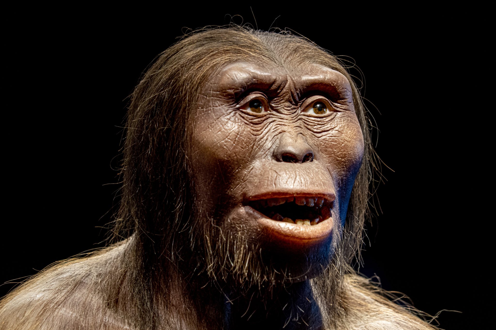 7 Clues Hidden in Your Body That Could Mean You Have Neanderthal DNA