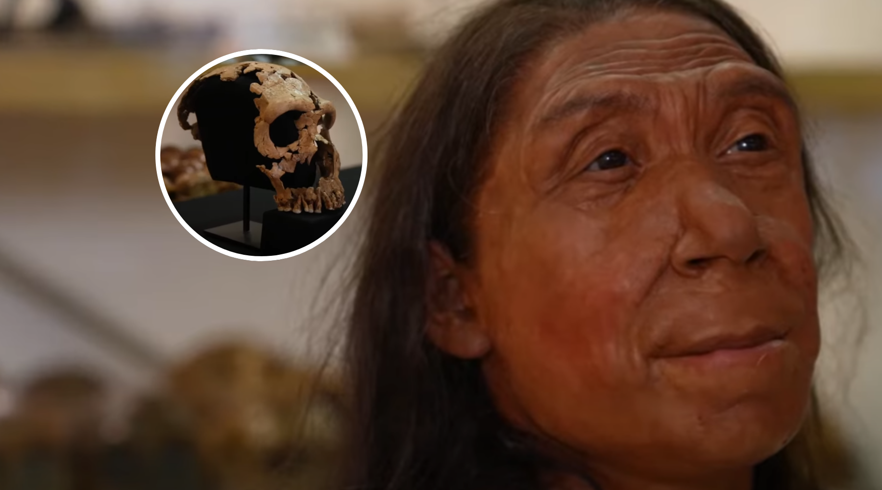 Scientists Reconstruct Face of 75,000-Year-Old Neanderthal Woman
