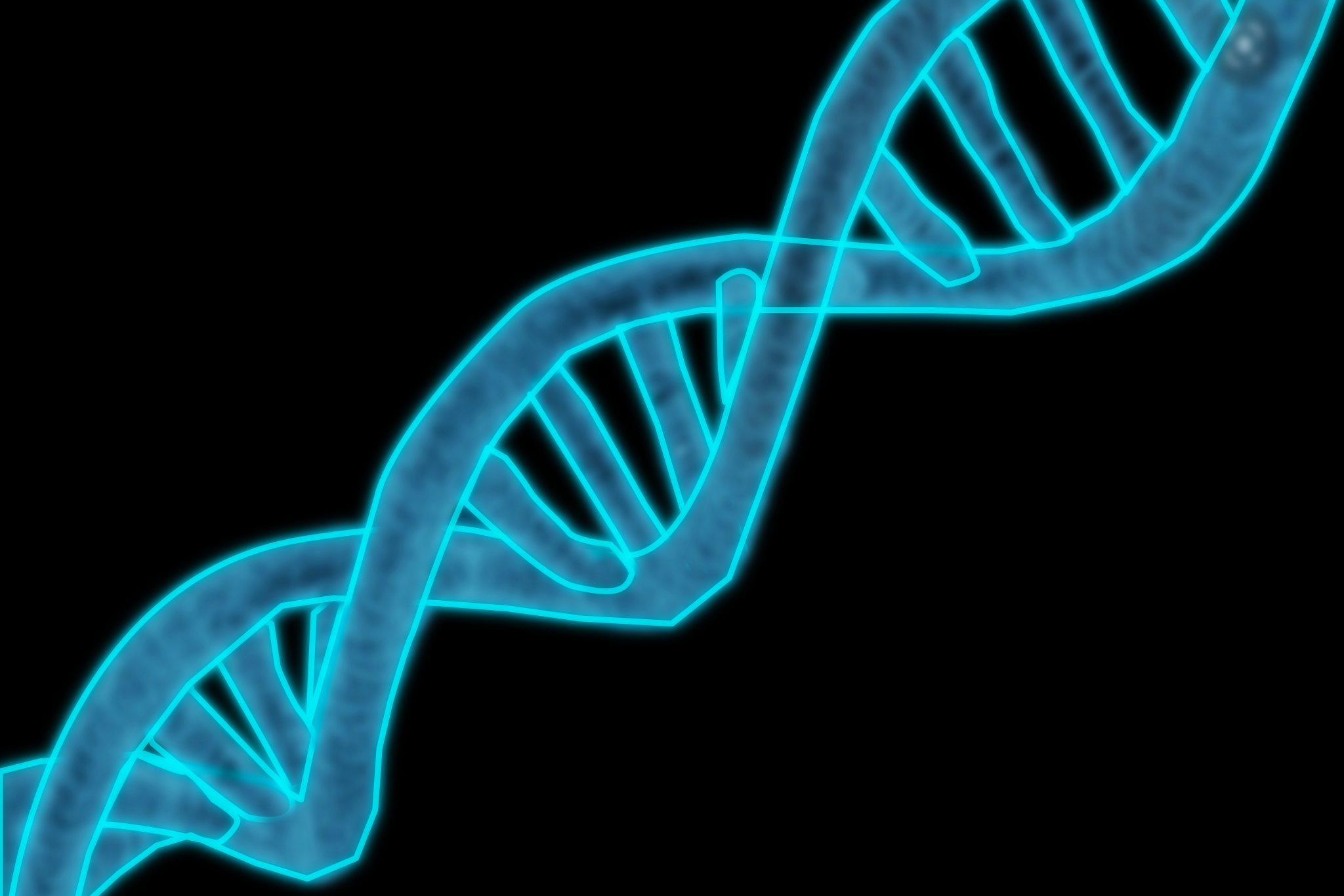 Ancient DNA Shows Humans Interbred With Mysterious ‘Ghost Species’ We Still Don’t Understand