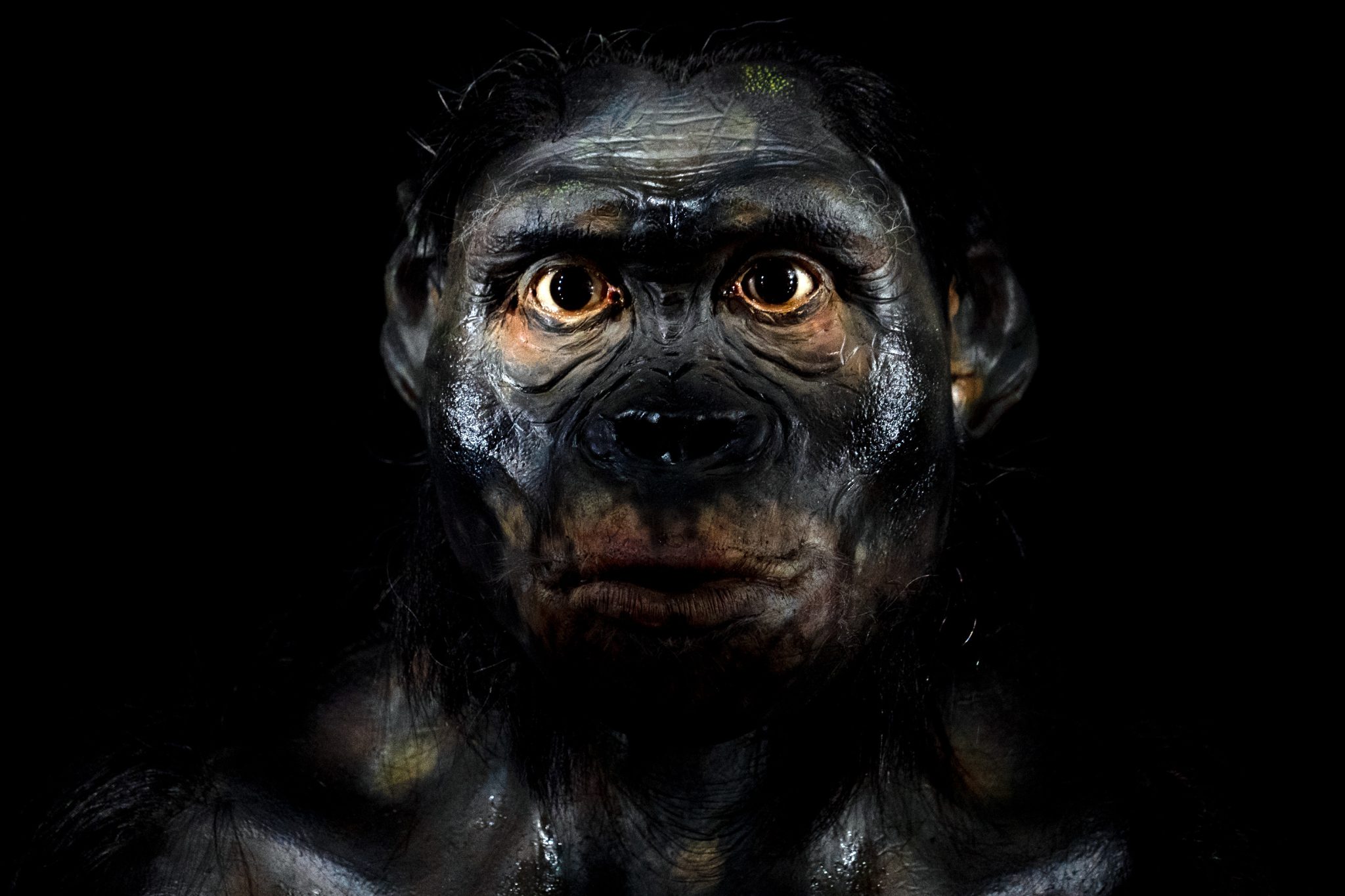 Scientists Say We Once Shared the Planet With at Least 8 Other Human Species — And Now We’re the Only Ones Left