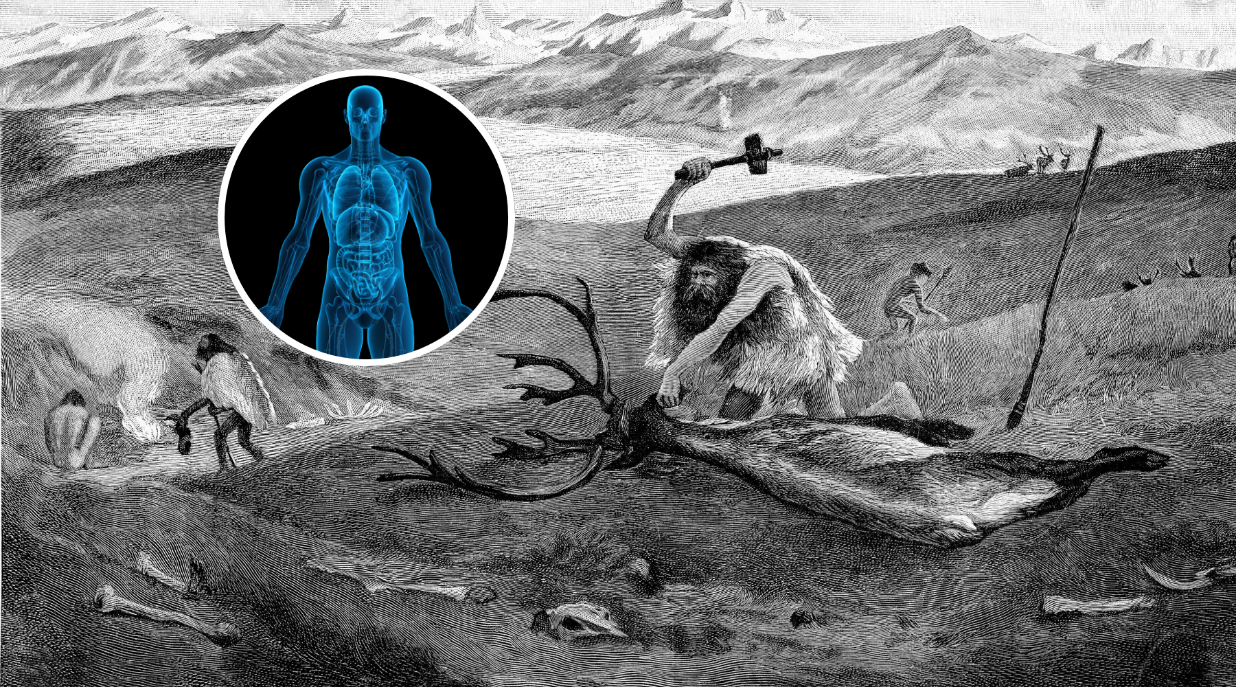 New Study Reveals Humans Were “Hypercarnivores”, Ruling as Apex Predators for 2 Million Years