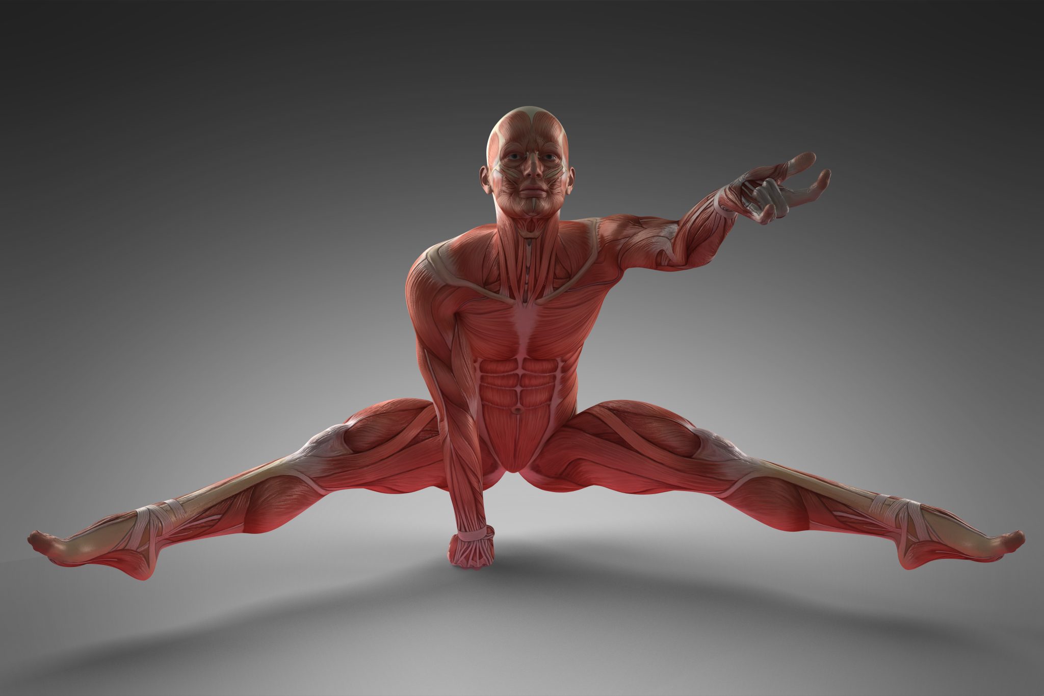 Scientists Reveal Humans Are Evolving to Lose Some Body Parts — Here’s What We May Not Have in the Future