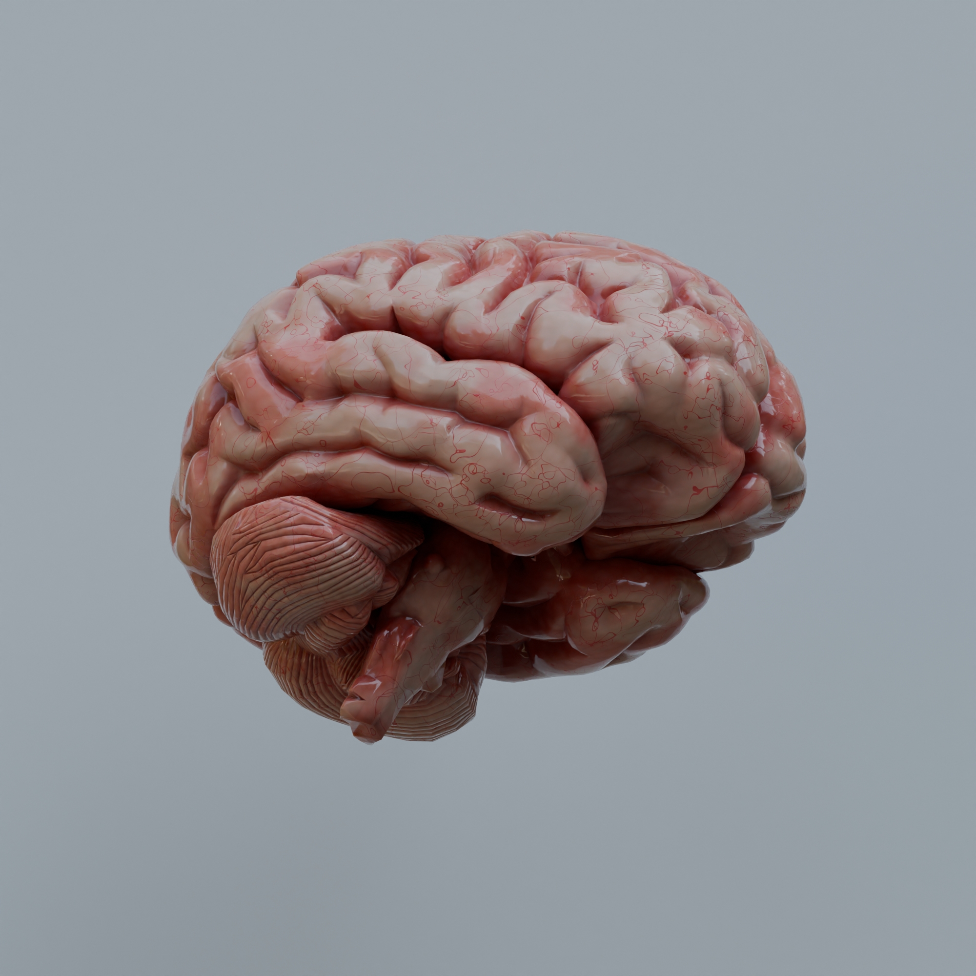 Why Did Human Brains Triple in Size Over the Last 2 Million Years? — Here’s What Scientists Suspect