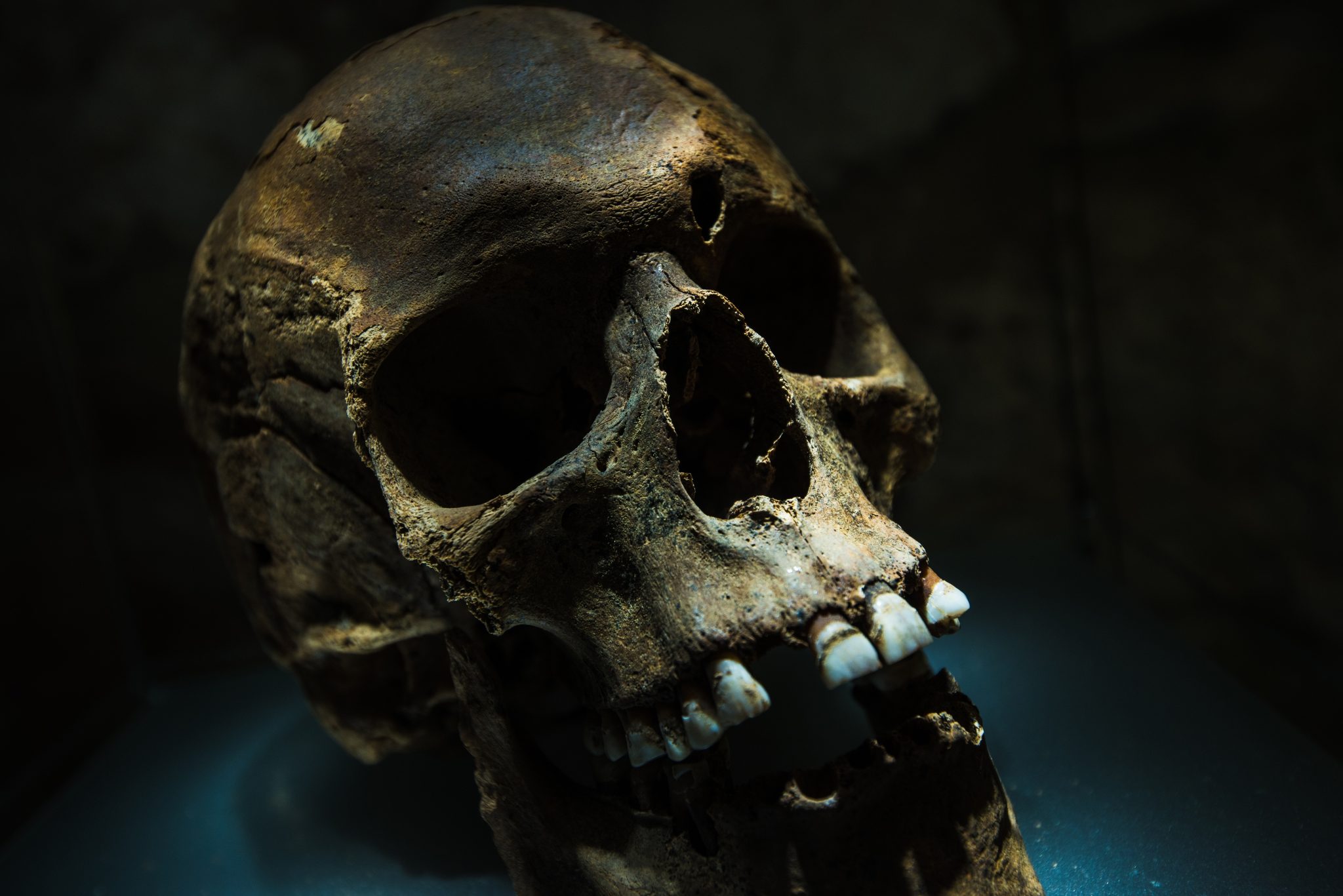 Are There Hidden Signs That Suggest You Might Have Denisovan DNA? — Here Are 6 Clues Scientists Have Found