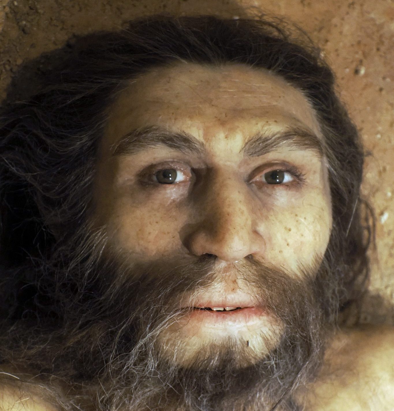 How Did Neanderthals Survive for Over 350,000 Years Until Their Extinction Around 40,000 Years Ago? — Here’s What Researchers Found Out
