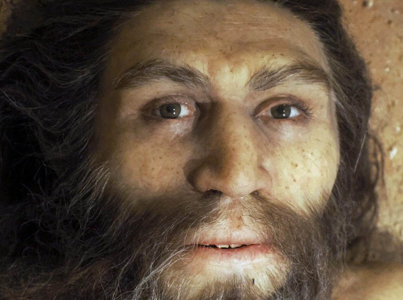 How Did Neanderthals Survive for Over 350,000 Years Until Their Extinction Around 40,000 Years Ago? — Here’s What Researchers Found Out