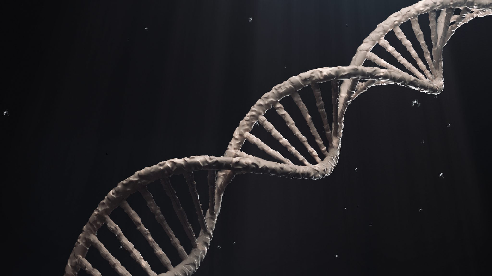 Why Did Homo sapiens Interbreed With Neanderthals Around 50,000 Years Ago? — Here’s What DNA Reveals About Their Union