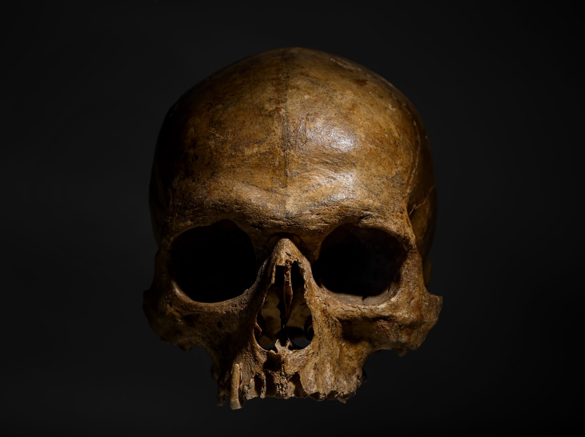 Why Did Human Intelligence Rapidly Expand Between 800,000 and 200,000 Years Ago? — Here’s What Scientists Suggest