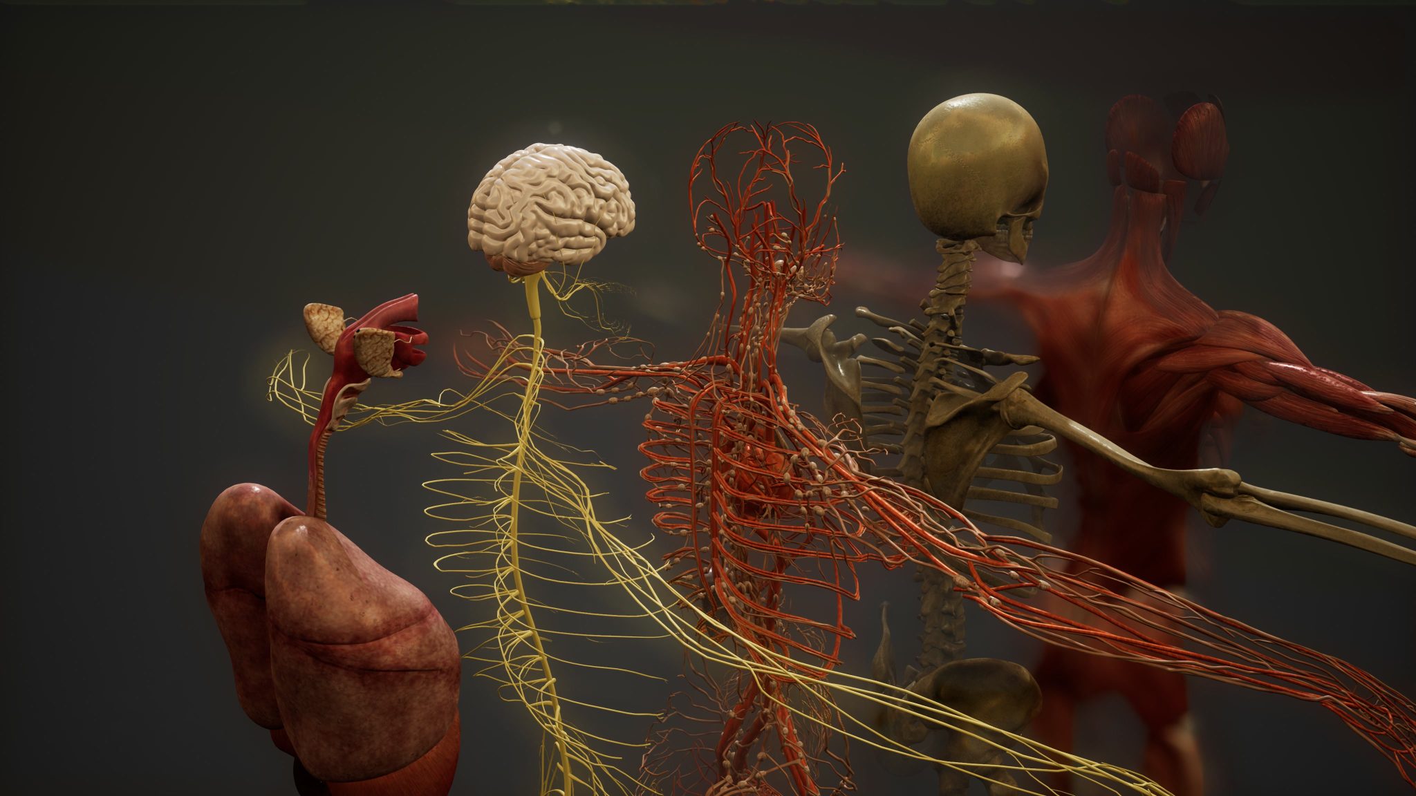 Why Have Humans Gotten Shorter Since About 10,000 Years Ago, and What’s Currently Reversing It? — Here’s What Scientists Found