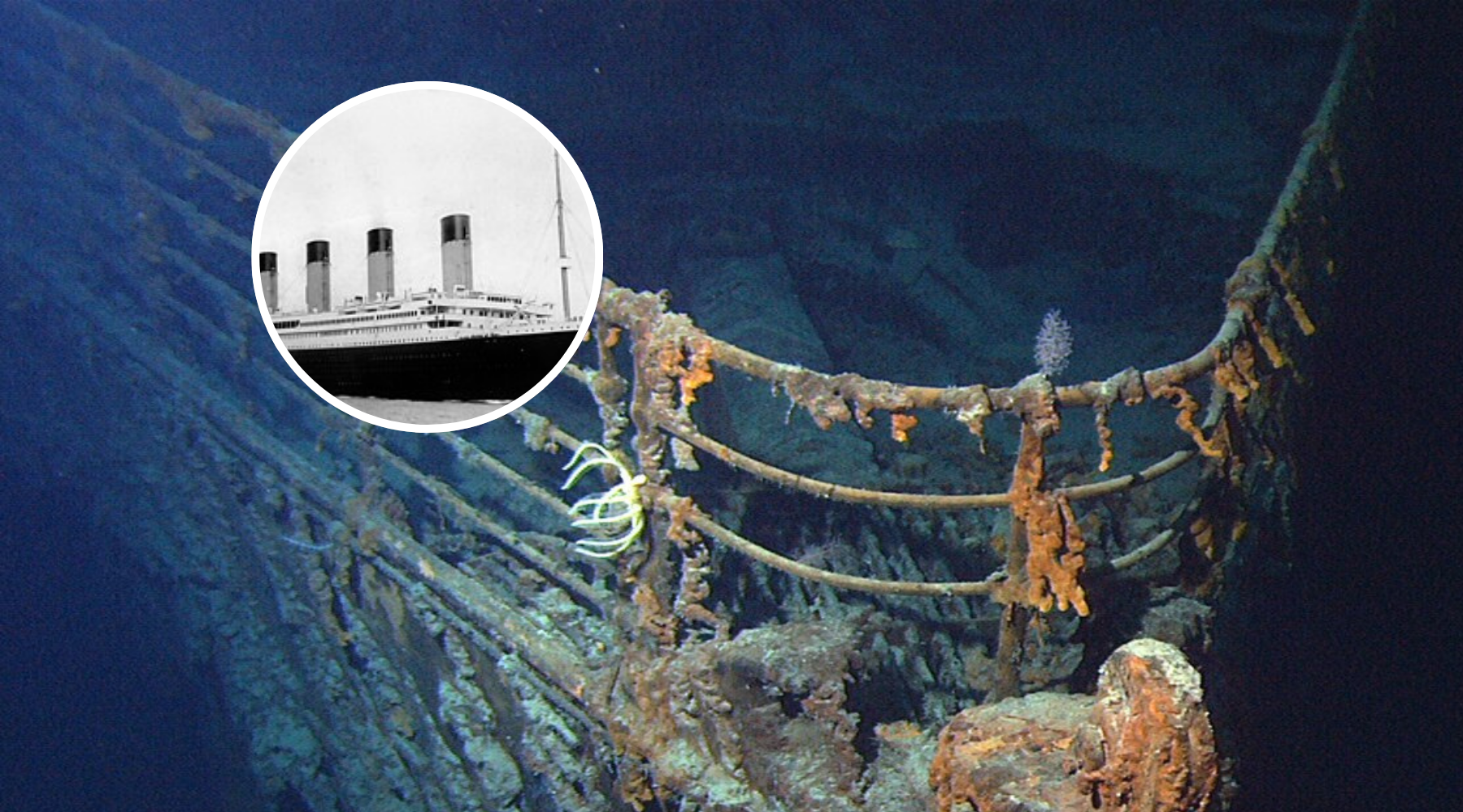 Why Has No One Ever Found Human Remains Inside the Titanic? — Here’s What Researchers Explain